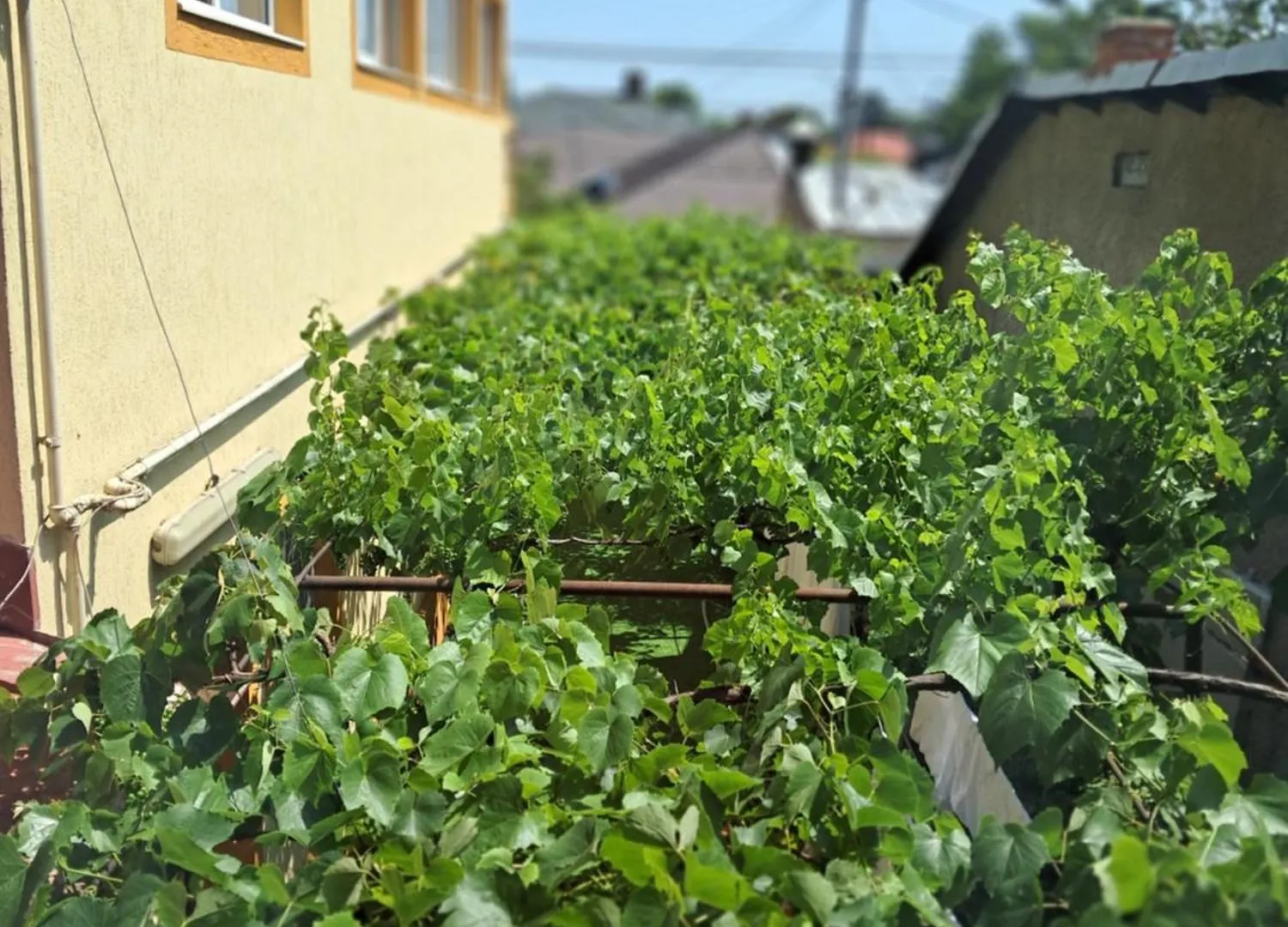 Casuta Galbena Apartamento Bucareste Roménia
