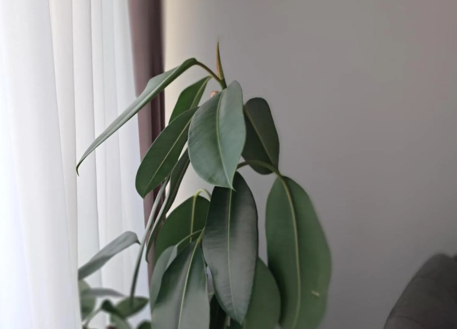 Casuta Galbena Apartamento Bucareste